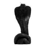 VELA COBRA (Negro) | Tienda Esotérica